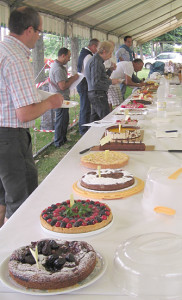 17-06-2010 coniolo concorso  torta di nonna papera