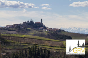 Veduta Vignale Monferrato