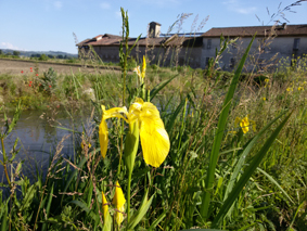 grangia di Pobietto