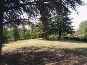 ParcoSteleBadoglio