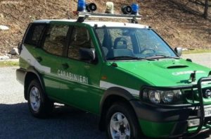 carabinieri forestali