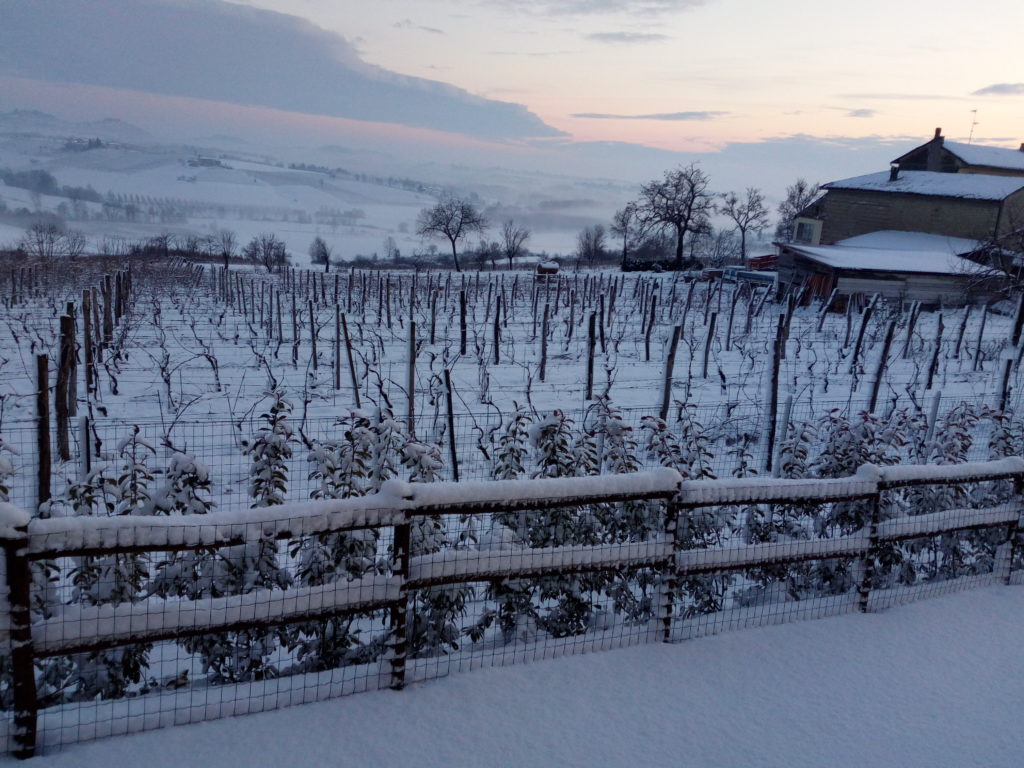 neve in monferrato