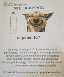 locandina cani