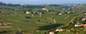 VEDUTA COLLINE