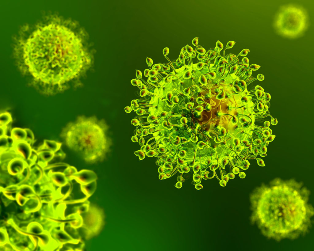 coronavirus